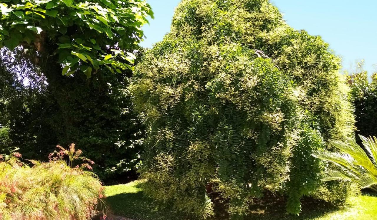 Villa Laura Cisterna di Latina Exteriér fotografie